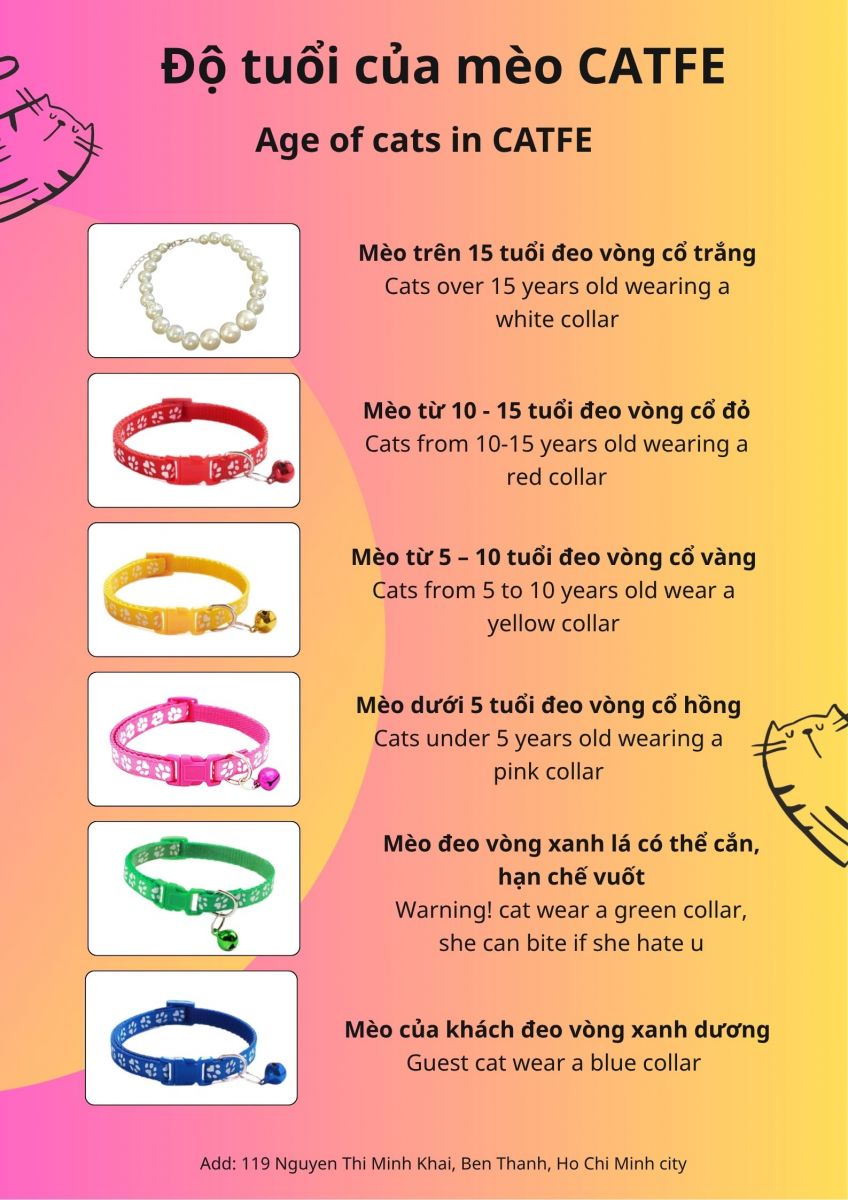 CATFE: Phân biệt tuổi mèo bằng màu vòng cổ